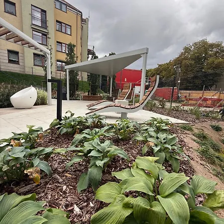 Tuwypoczywam - 40 - Aniolki Obok Gumed Remedium *